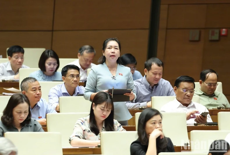 Phát biểu tại phiên họp, đại biểu Lý Tiết Hạnh (đoàn Bình Định) tỏ ra băn khoăn về khái niệm đô thị, nông thôn.