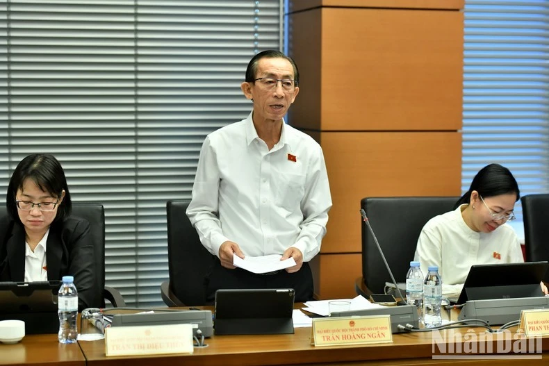 Đại biểu Trần Hoàng Ngân (Thành phố Hồ Chí Minh) phát biểu.