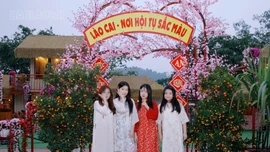 Tết của người trẻ