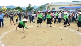 Sức sống của trò chơi đánh quay. 