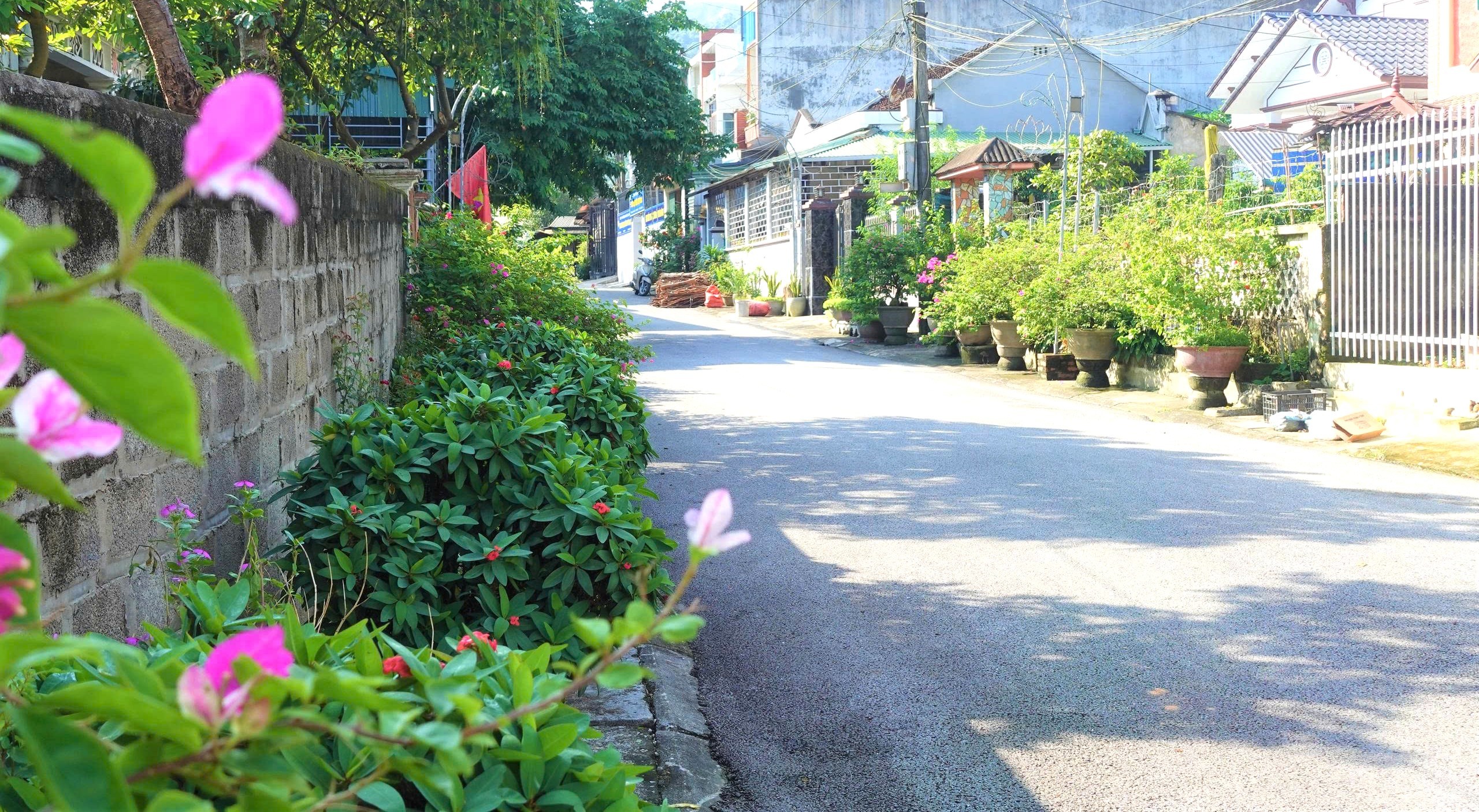 p9.jpg