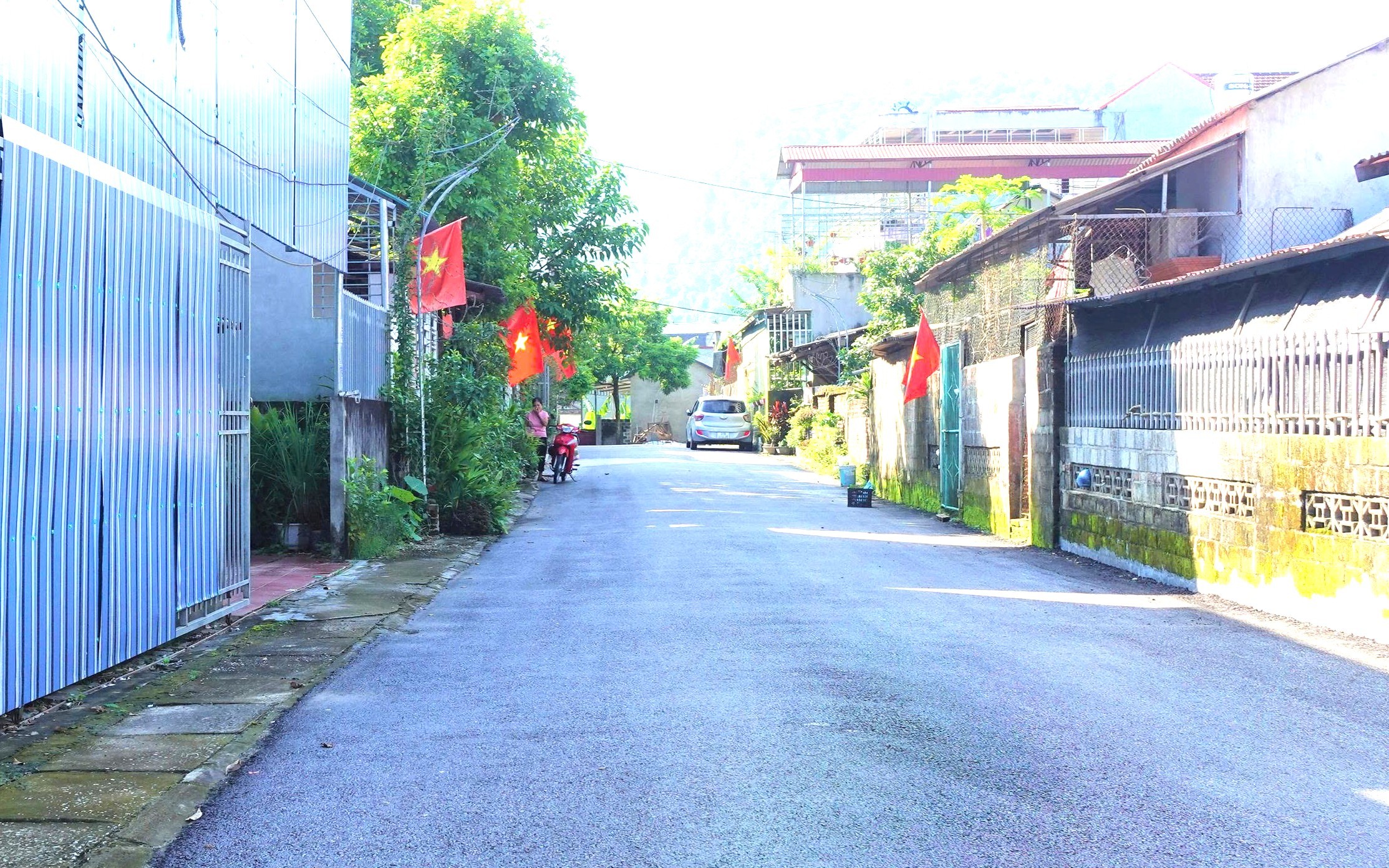 p7.jpg