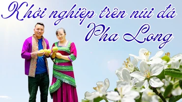 Khởi nghiệp trên núi đá Pha Long