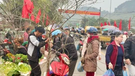 Mộc mạc chợ Tết Hợp Thành