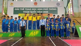 Lào Cai giành 7 huy chương tại Giải Thể thao học sinh phổ thông toàn quốc