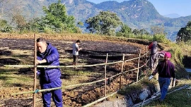 Tả Củ Tỷ và những ngày thứ Bảy cùng dân