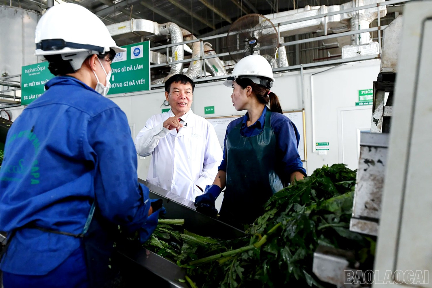 Công ty TNHH Một thành viên Traphaco Sapa chú trọng ứng dụng công nghệ vào sản xuất. baolaocai-br_traphaco.jpg