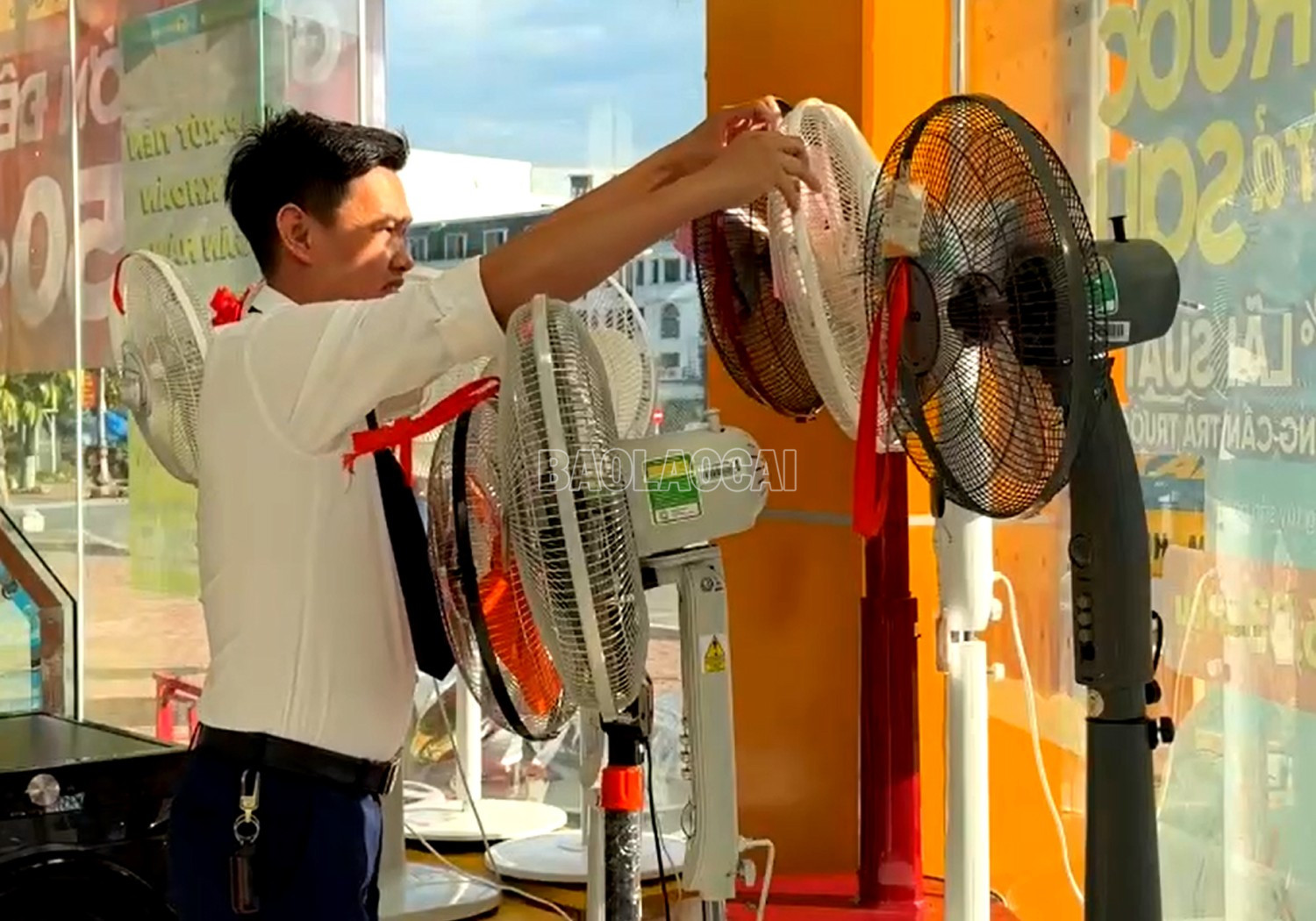 Người mua điều hòa, quạt điện có nhiều sự lựa chọn bởi sản phẩm rất đa dạng. baolaocai-c_h4.jpg