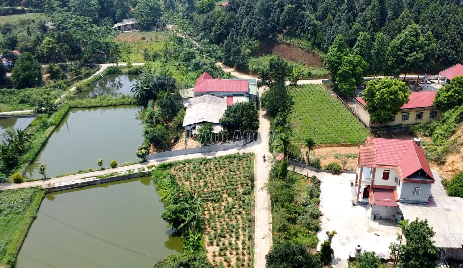 Đường bê tông rộng, sạch tại thôn Chính Tiến, xã Gia Phú. baolaocai-c_333.jpg