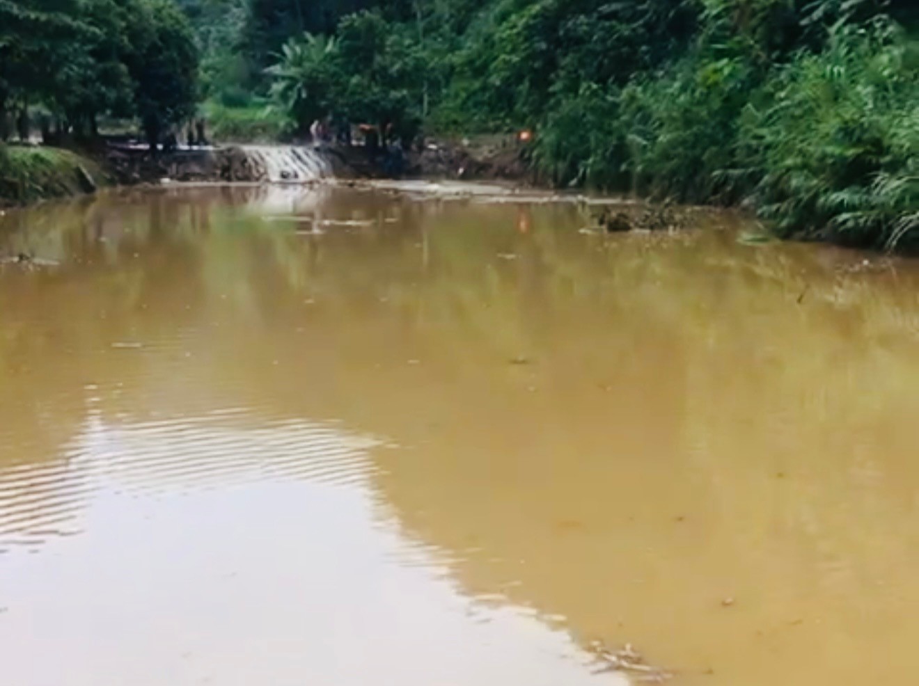 Khu vực tìm thấy thi thể nạn nhân cách địa điểm vỡ bờ ao khoảng 600m. img-2384.jpg