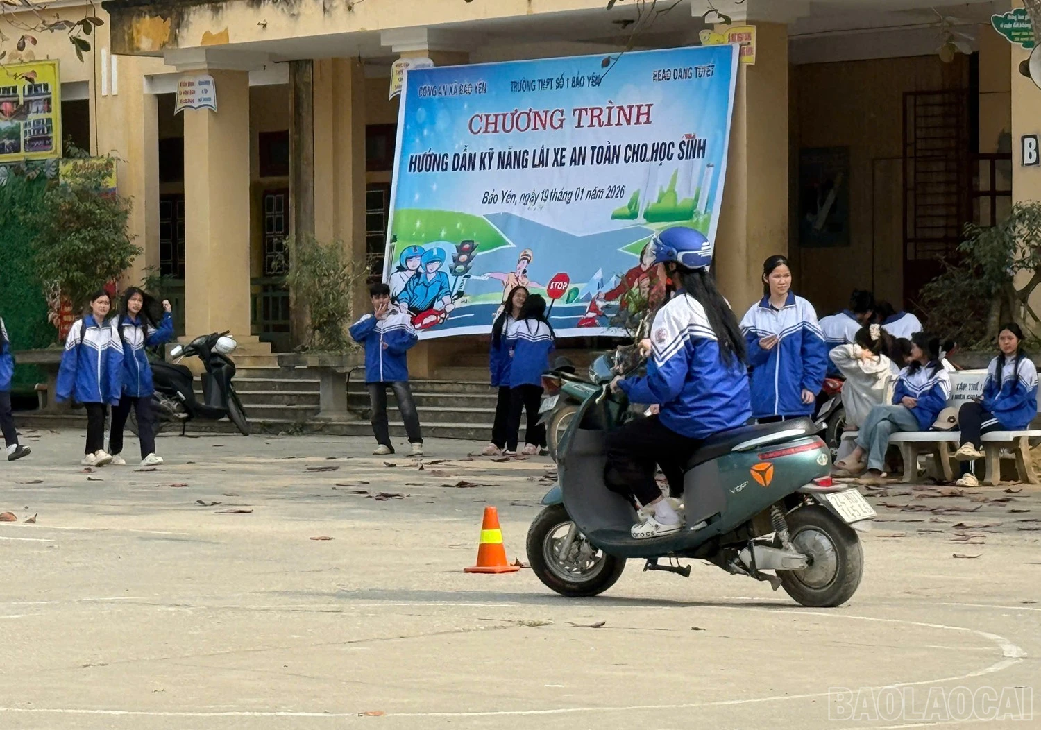 baolaocai-br_z7446816825790-da06a65840e716b4d15f9d4692fe434b.jpg
