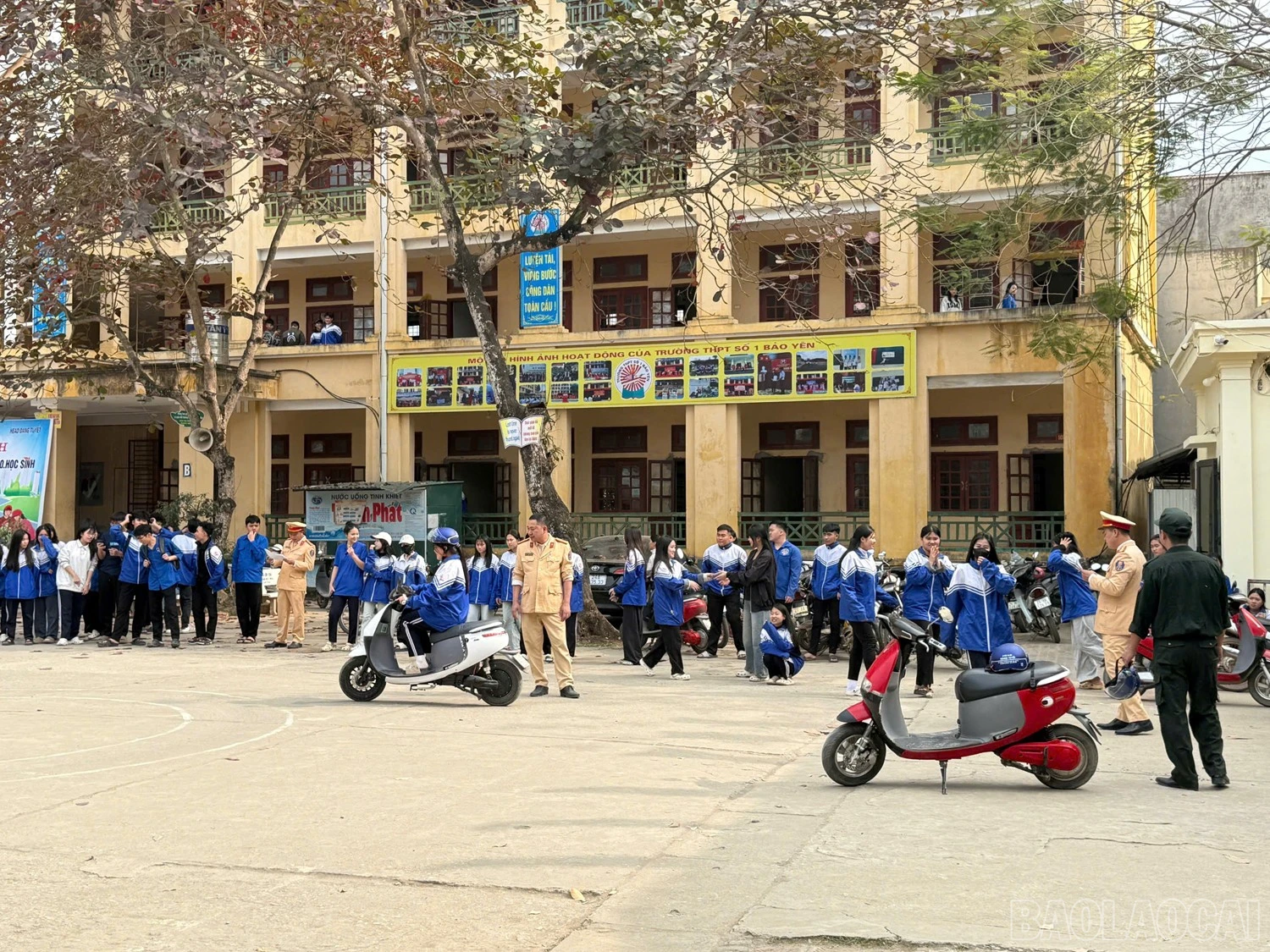 baolaocai-br_z7446816844165-a46d5c72449b7bfec6b01b1648601cc5.jpg
