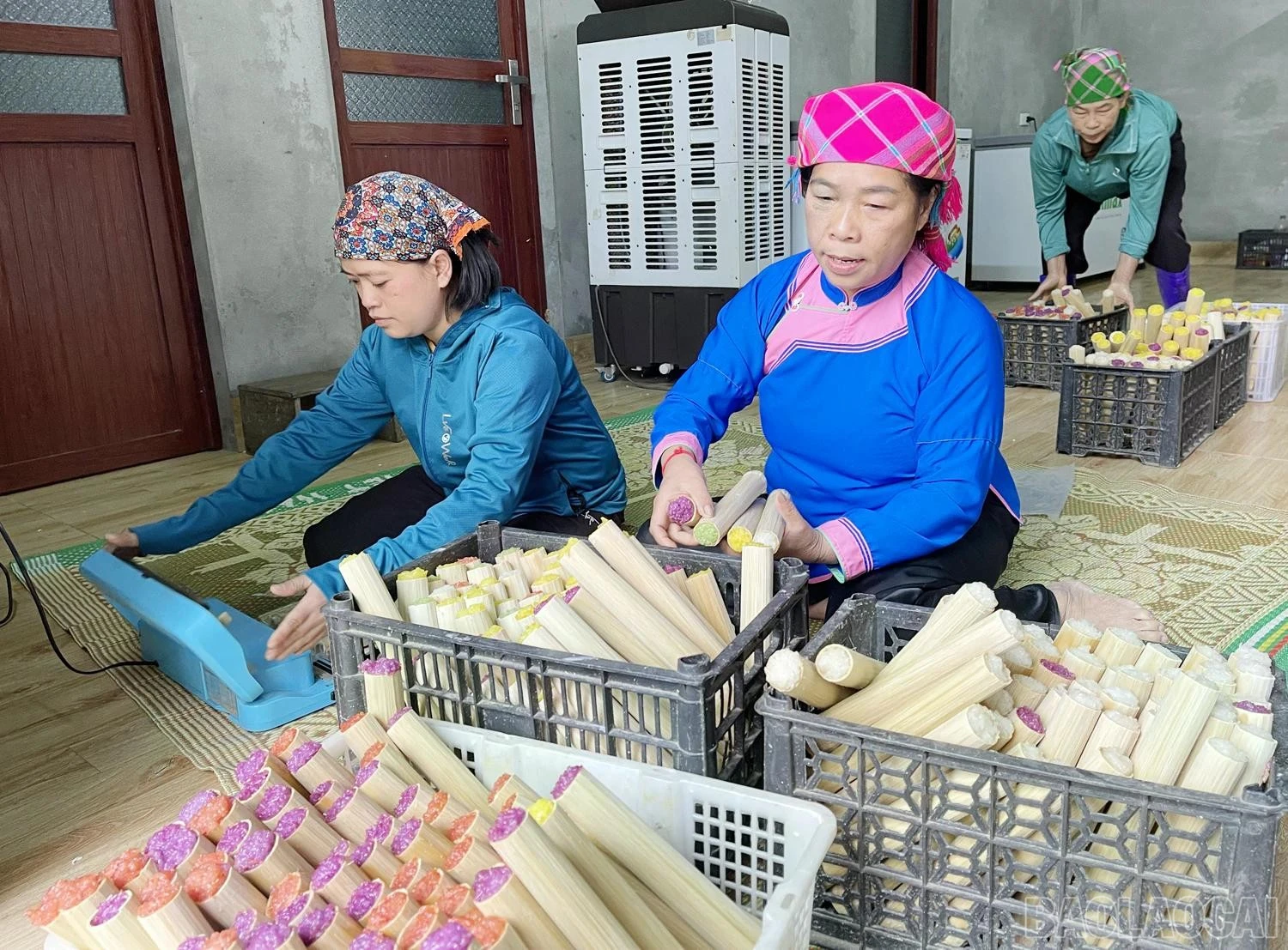 baolaocai-br_img-1823-9652.jpg