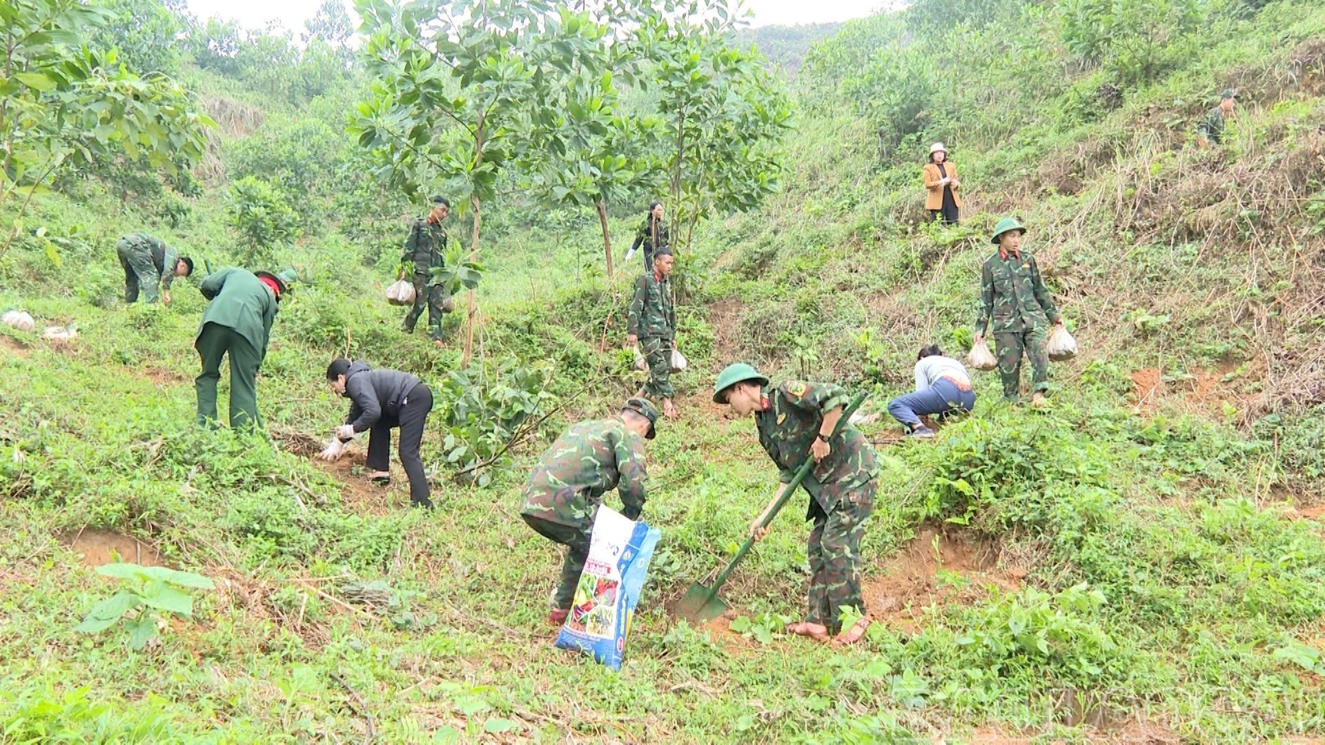 Cán bộ, chiến sĩ Sư đoàn 355 (Quân khu 2) hưởng ứng “Tết trồng cây đời đời nhớ ơn Bác Hồ” Xuân Bính Ngọ năm 2026.