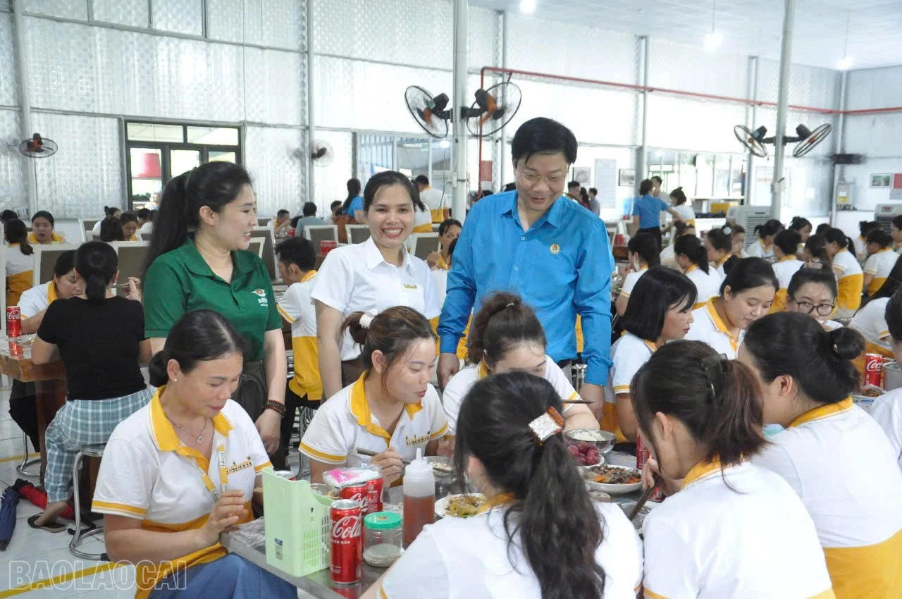 baolaocai-bl_bua-com-babeni.jpg