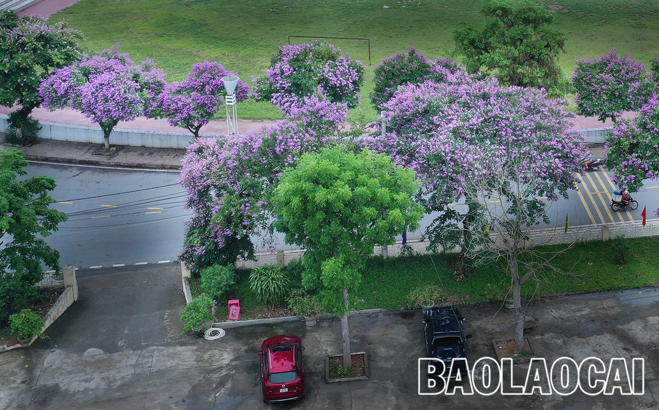 46018ce1-f9bb-486f-8cf1-64906573bad8.jfif