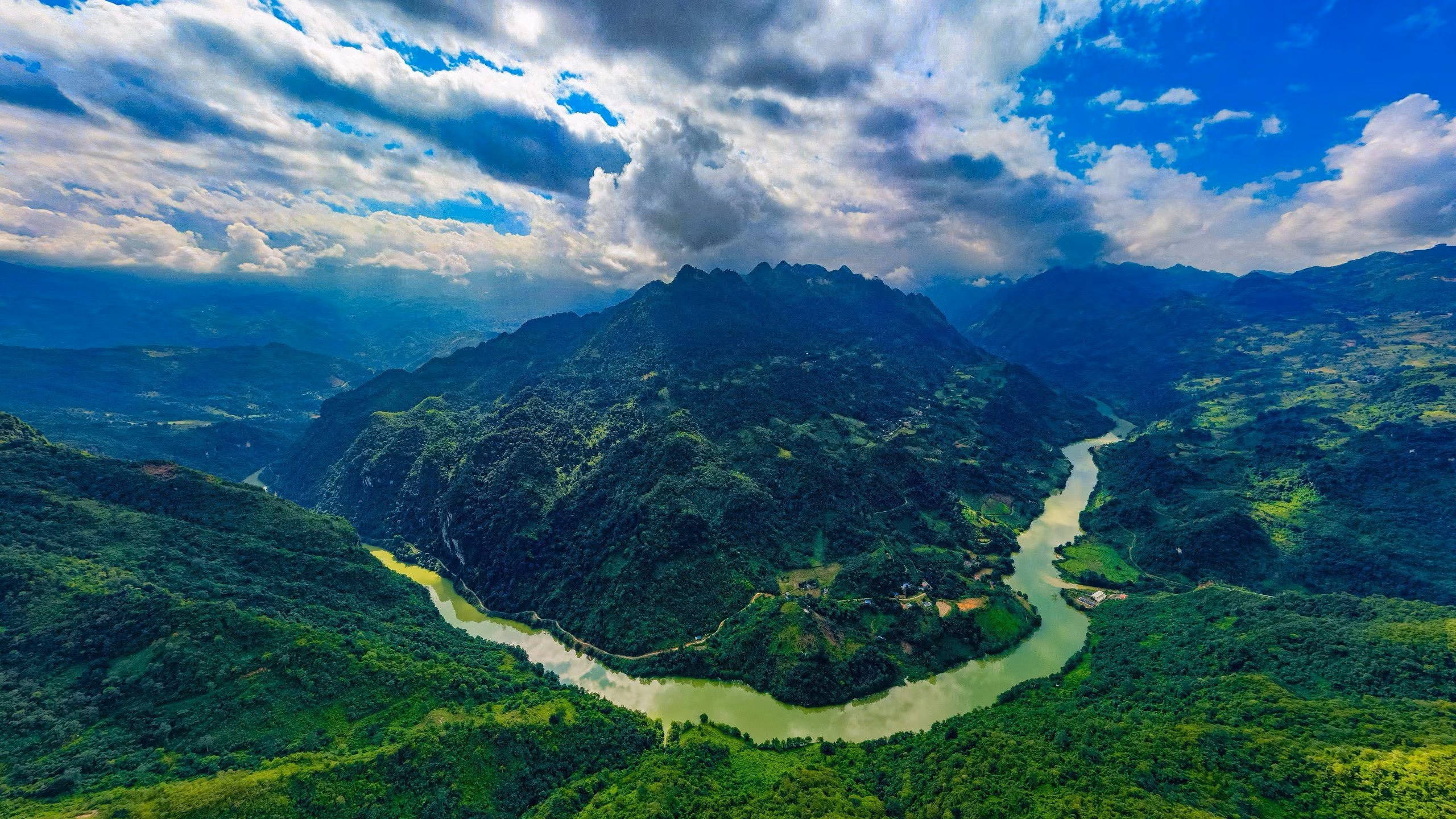 962699aa-1c23-4984-affb-ca0d2d8c918d.jfif