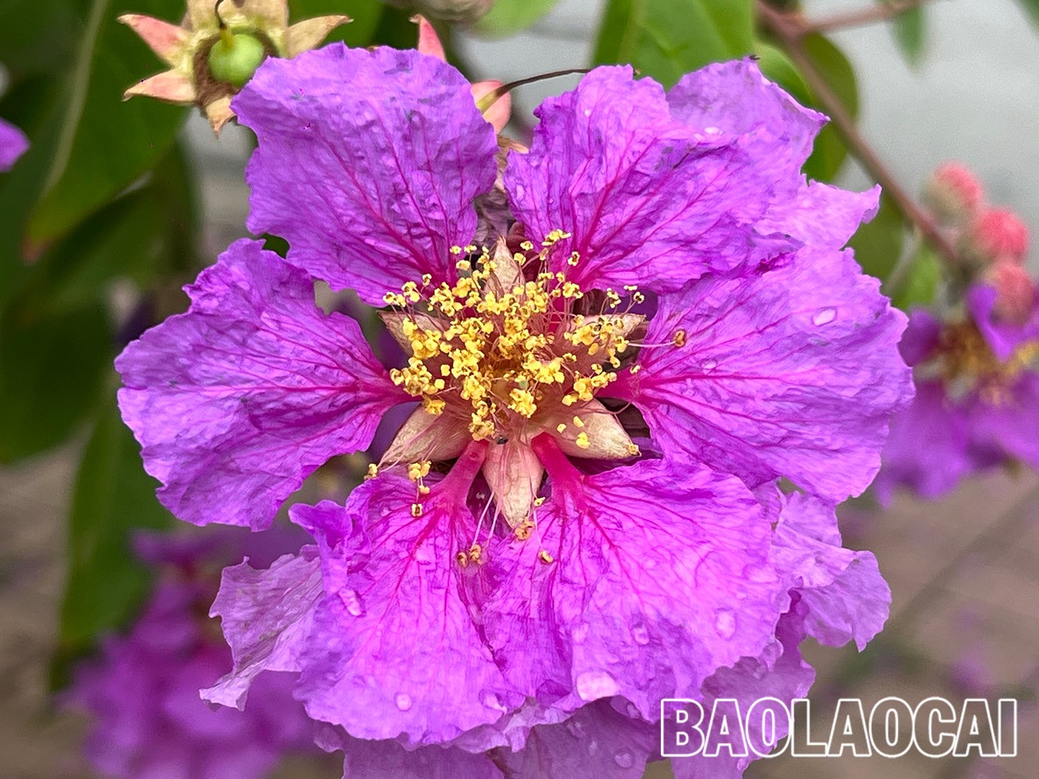 1df26b2f-a480-482c-8aec-350cedeba806.jfif