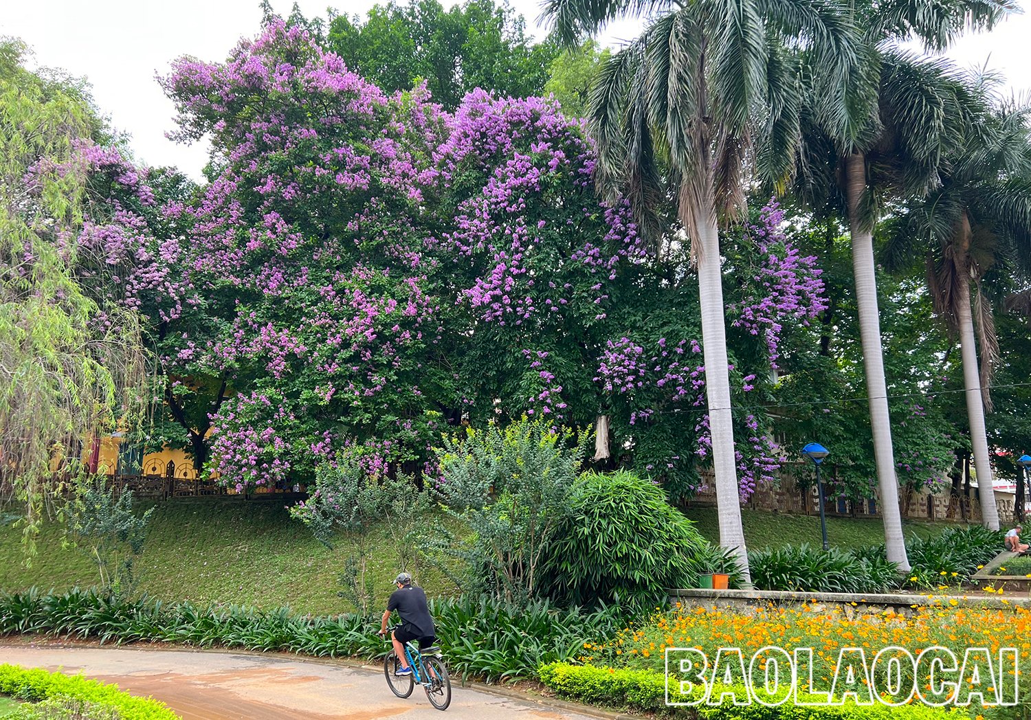 dca18198-145b-4d94-98b0-0d393edc8697.jfif