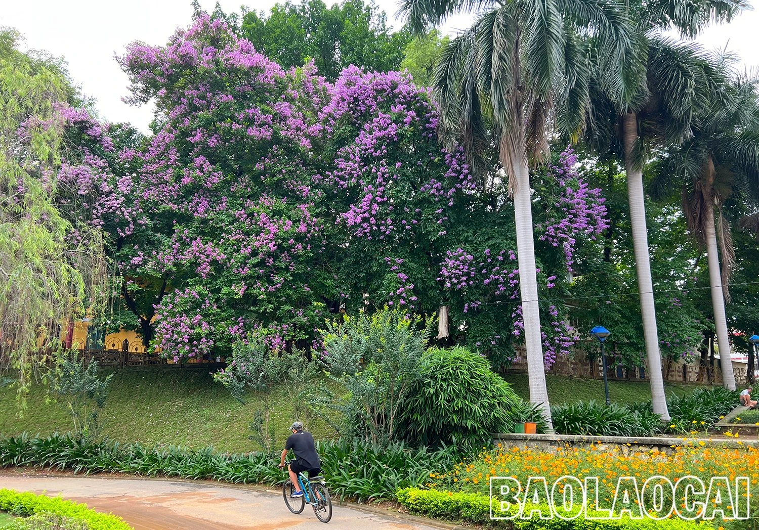 dca18198-145b-4d94-98b0-0d393edc8697.jfif