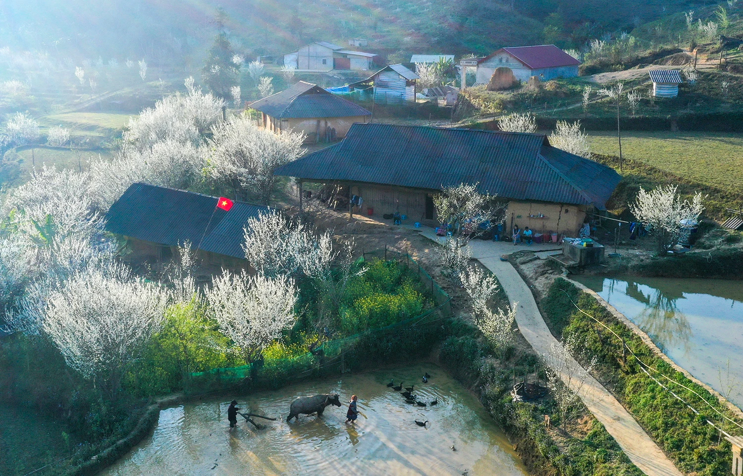 Diện mạo nông thôn mới ở Tả Van Chư.