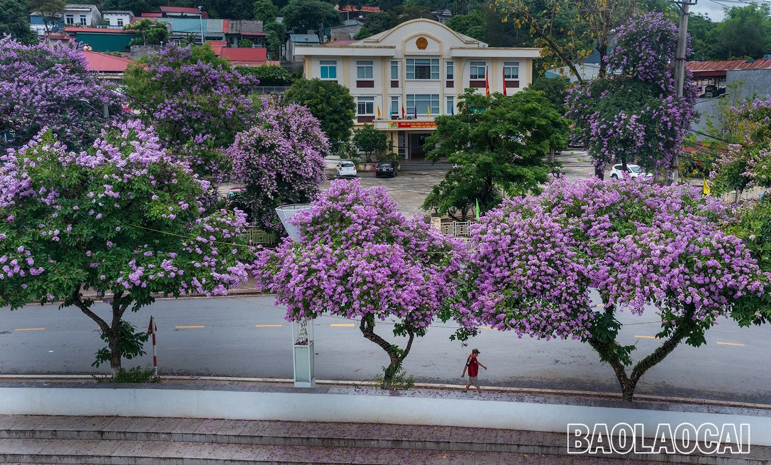 4e1990c2-cf3a-4caf-9506-5457358a48ee.jfif