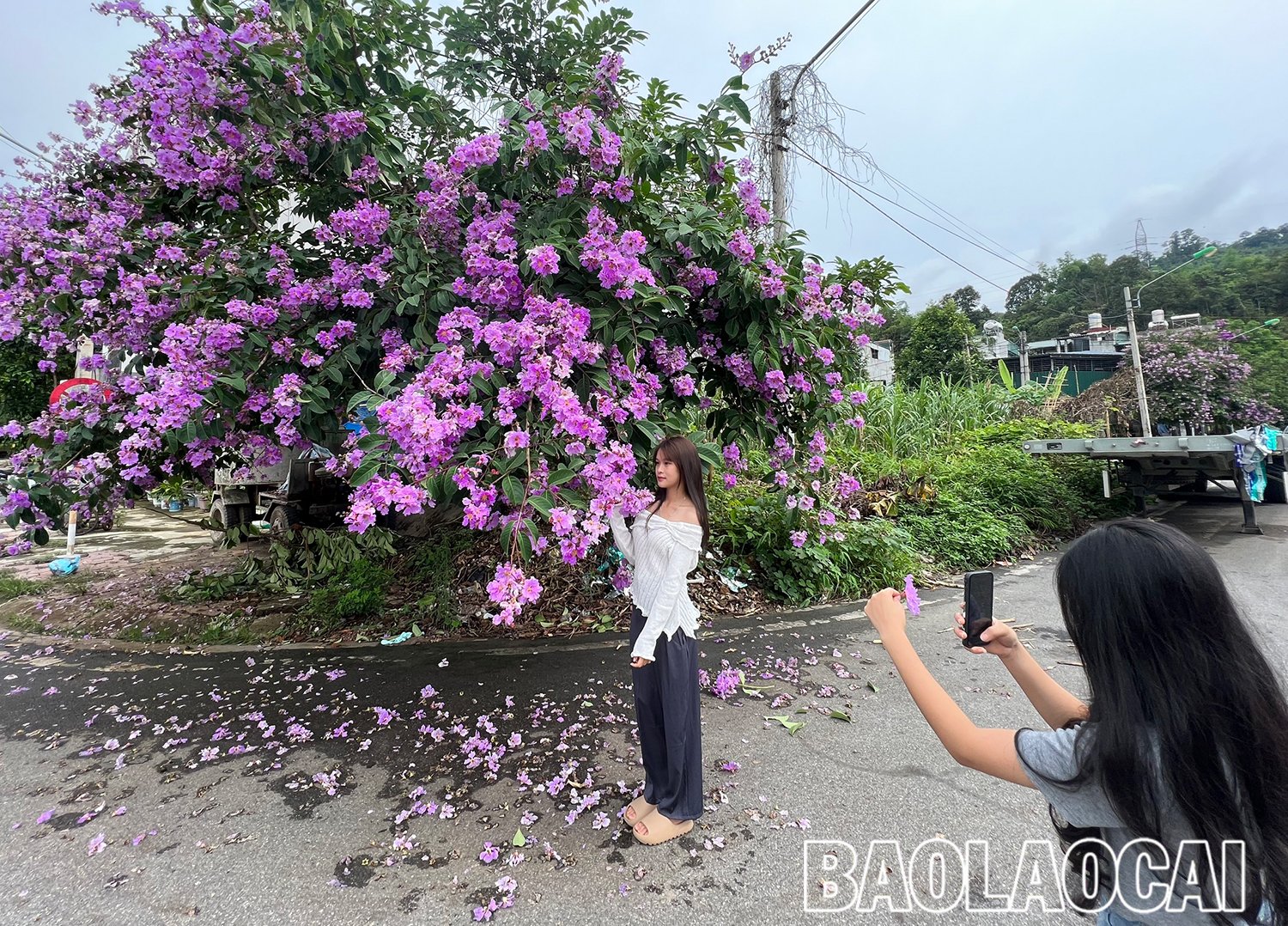 8964fc7b-ae96-45d6-b21d-e40e3f4c586f.jfif