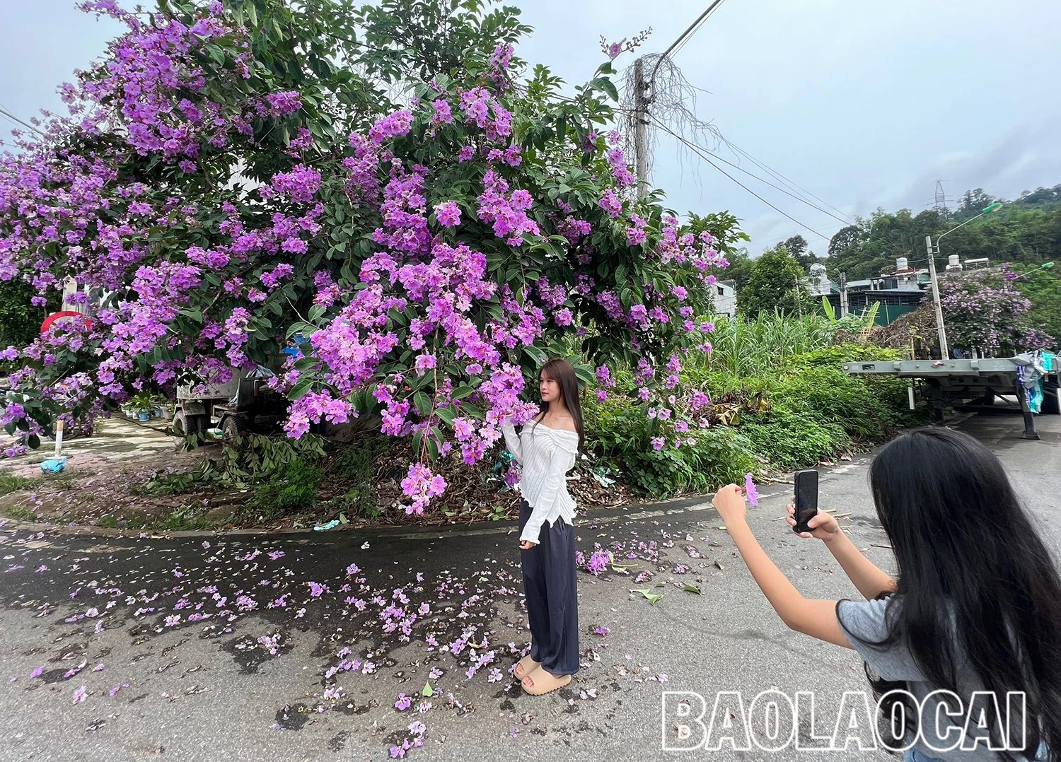 8964fc7b-ae96-45d6-b21d-e40e3f4c586f.jfif