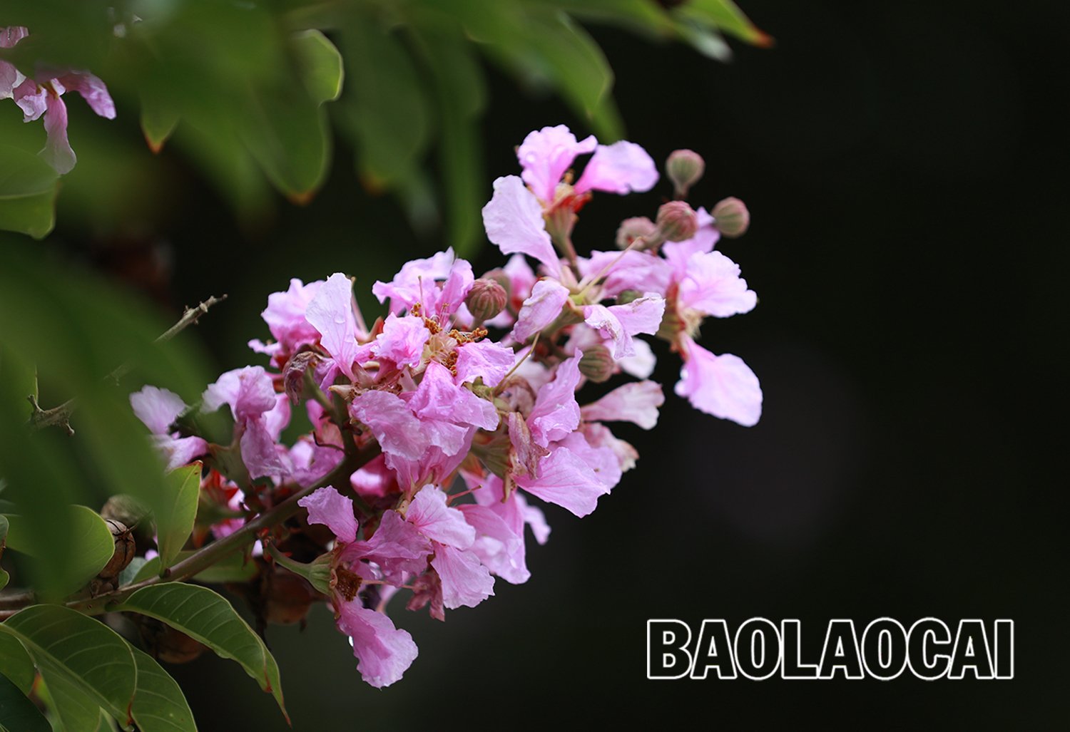 8a5e8f0e-2ded-48b9-8510-650a9509fd3c.jfif