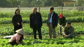 Hướng đến khuyến nông đa giá trị