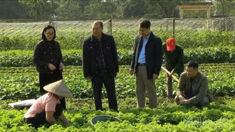 Hướng đến khuyến nông đa giá trị