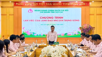 Ngân hàng Chính sách Xã hội Trung ương làm việc tại tỉnh Lào Cai