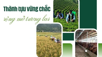 Thành tựu vững chắc - rộng mở tương lai 