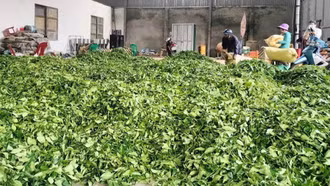 Sức mạnh từ các "hạt nhân" liên kết