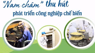 "Nam châm" thu hút phát triển công nghiệp chế biến