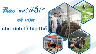 Tháo "nút thắt" về vốn cho kinh tế tập thể