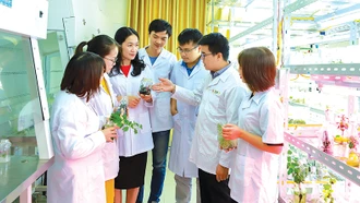 Tự hào là người Bố Y