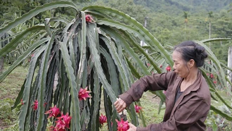 Bảo Yên duy trì các xã đạt chuẩn