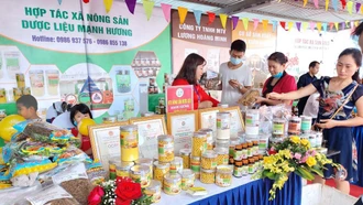 Giải bài toán về độ chênh giữa các nhóm sản phẩm OCOP