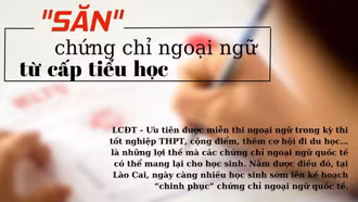 "Săn" chứng chỉ ngoại ngữ từ cấp tiểu học
