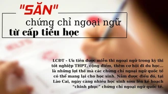 "Săn" chứng chỉ ngoại ngữ từ cấp tiểu học