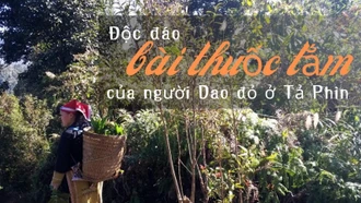 Độc đáo bài thuốc tắm của người Dao đỏ ở Tả Phìn