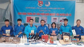 Dấn thân khởi nghiệp - chuyện của người trẻ hôm nay