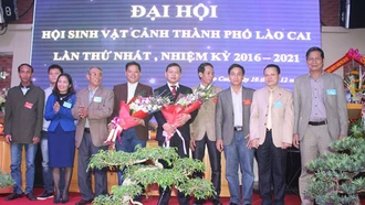 Chi hội Sinh vật cảnh thành phố Lào Cai tích cực tham gia nhiều phong trào, hoạt động