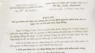 Cá chết trên sông Hồng là do người dân "ruốc cá"