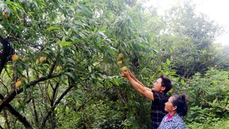 Thênh thang Hồng Ngài