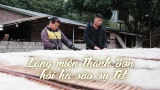 Làng miến Thành Sơn hối hả vào vụ Tết