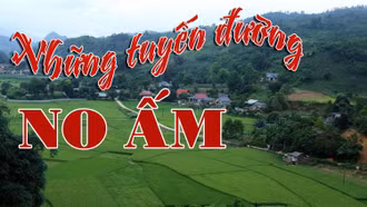 Những tuyến đường no ấm