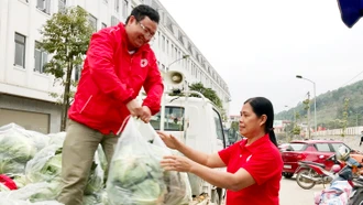 “Giải cứu” - tốt nhưng cần cẩn trọng