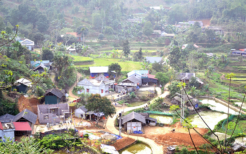 Mùa hoa trẩu trên Mã Yên Sơn